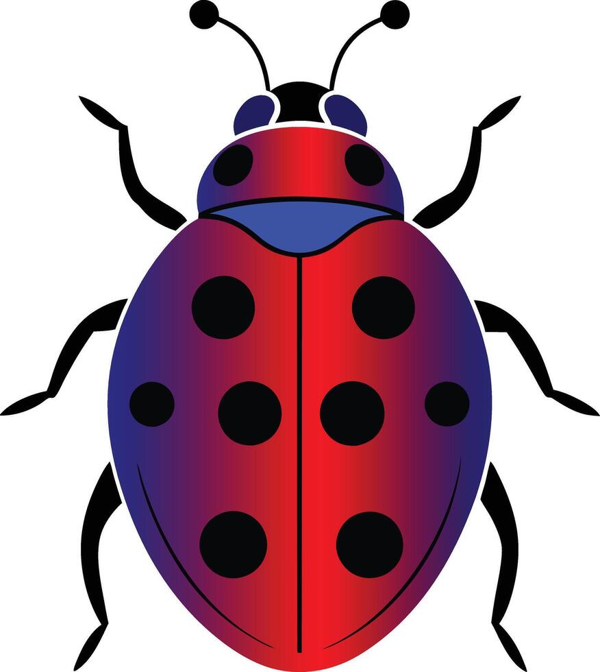 ladybug on white background vector