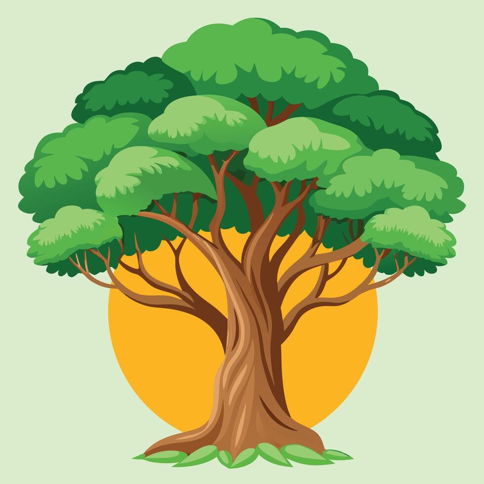 Banyan tree illustrations vector