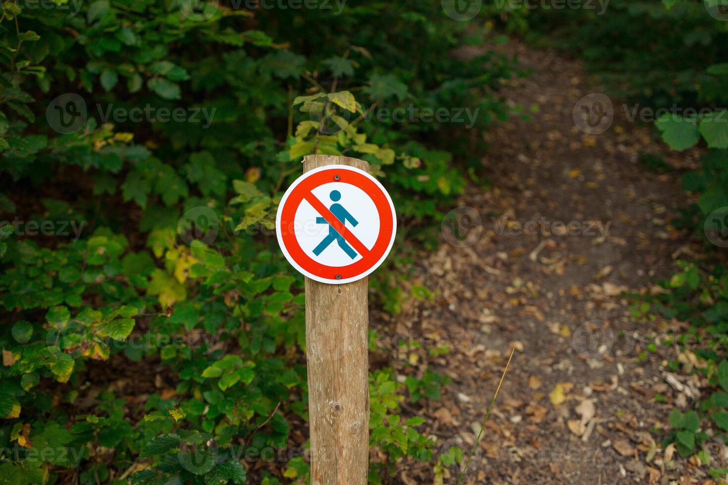 A round sign prohibiting entry into the forest. Shows a crossed-out person. The sign is in focus on the centre of the frame, and the blurred background is a forest green. Ojcowski park photo