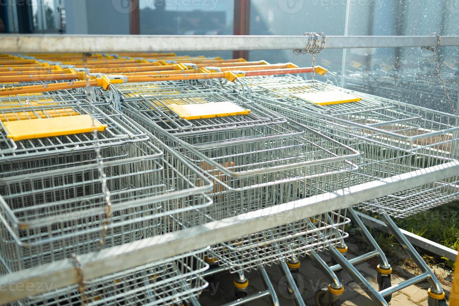 Shopping carts all lined up ready to be used to get groceries at store photo