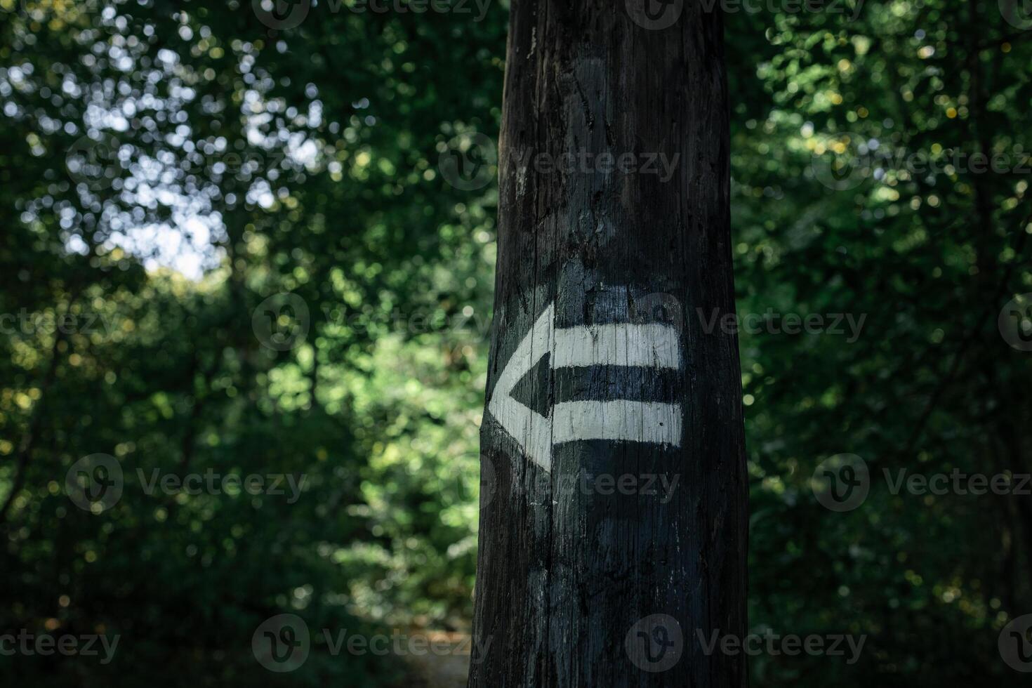 White tourist sign pointing to the left drawn on spruce trunk forest tree in the woods at summer photo
