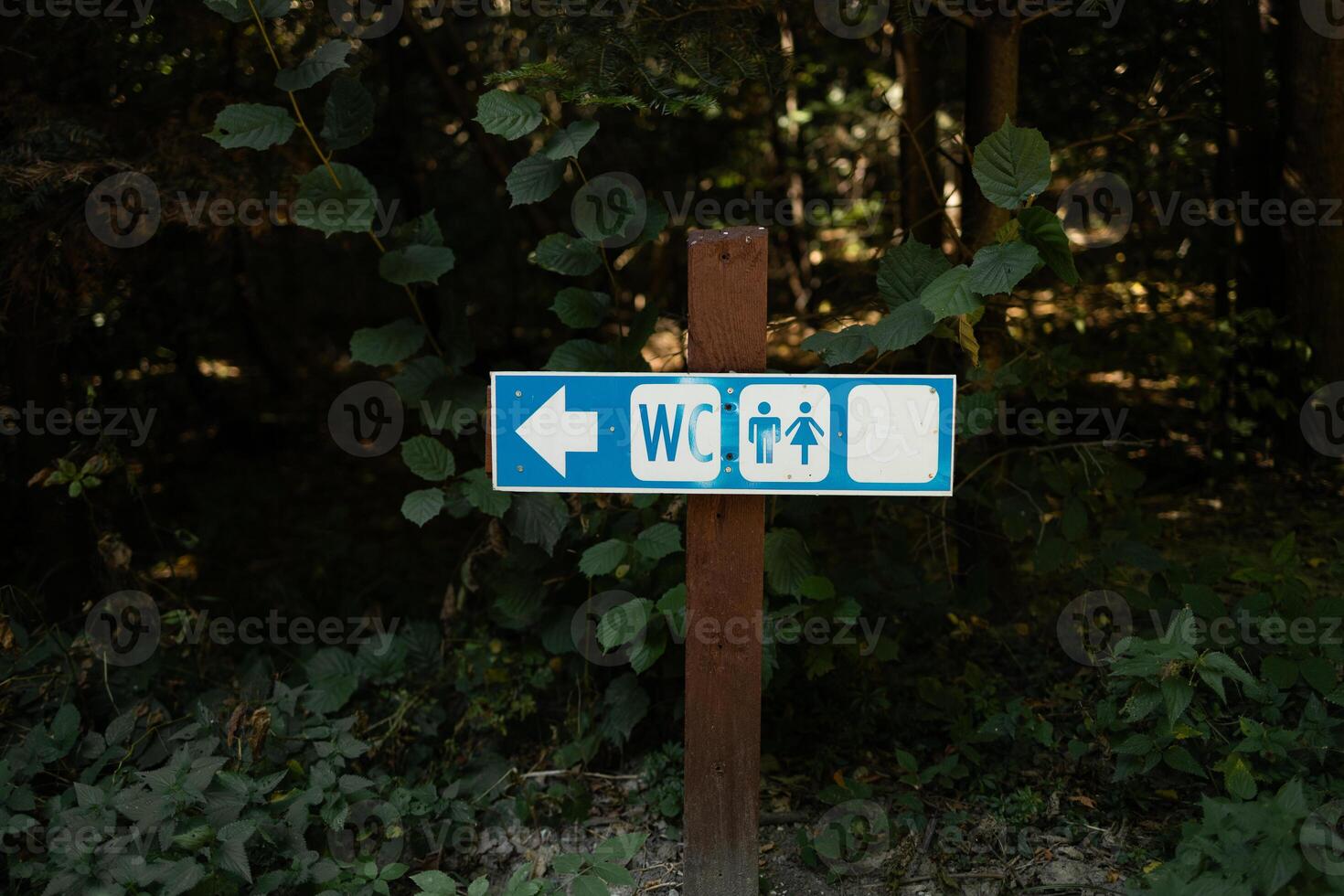 Plastic blue board with a white sign indicating the Entrance to the toilet for woman and man outdoors at in Ojcow National Park, Poland. Directional signs photo