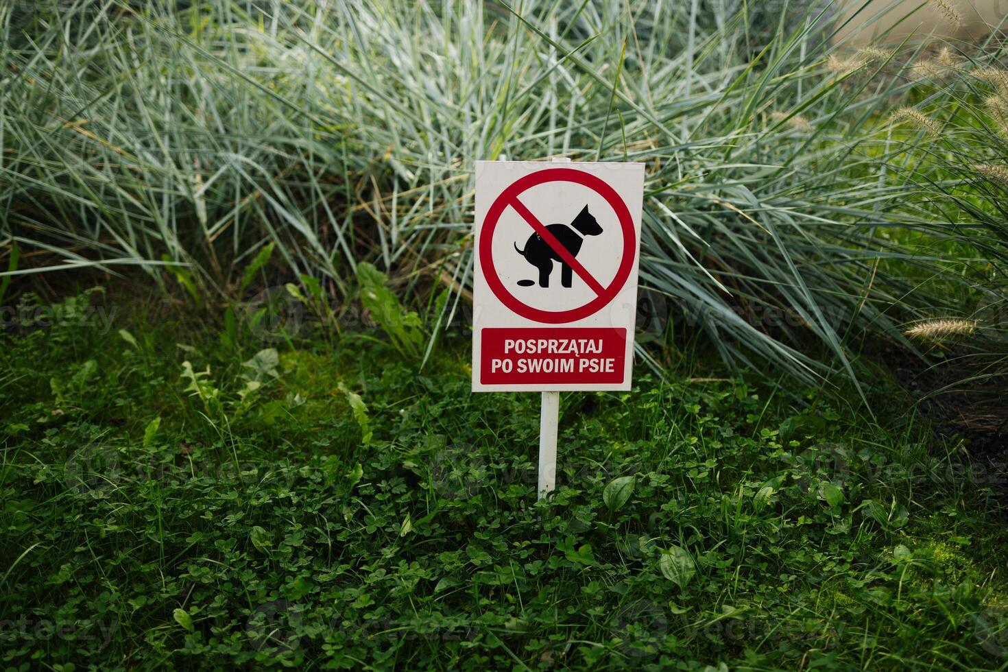 No dog poo sign in public park. Blurry background. photo