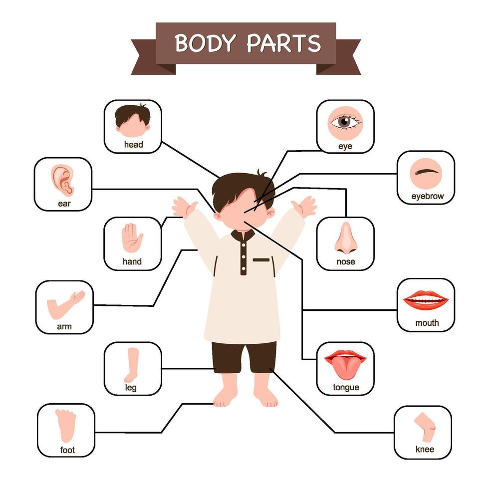 Illustration of Children Body Parts Poster vector