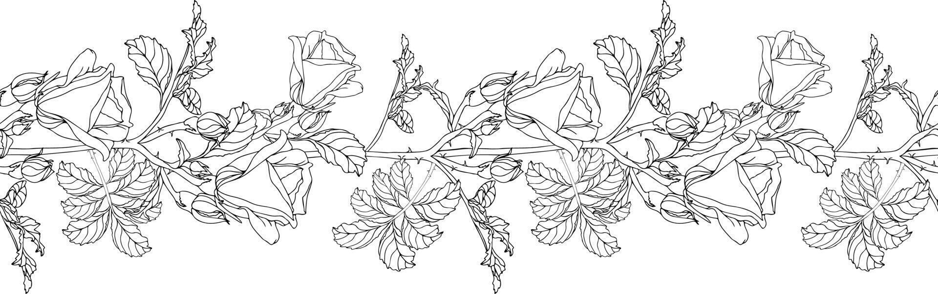 Wild roses flower seamless pattern for design of colorin page vector
