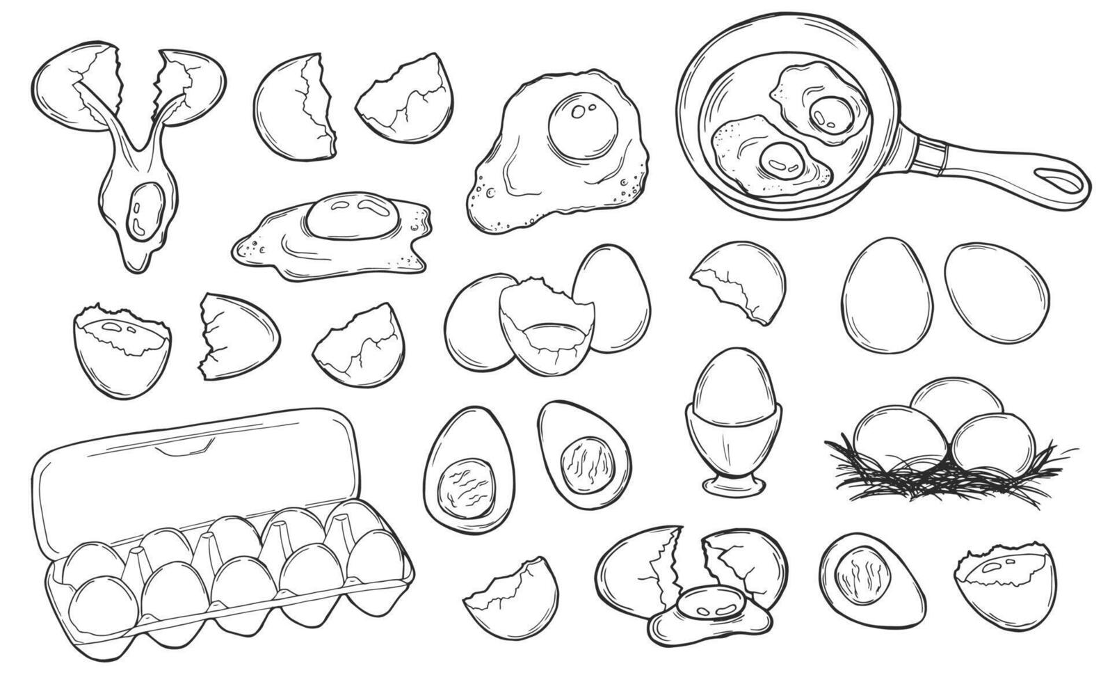 Fresh and boiled eggs, outline icons. Simple engraving broken chicken and quail eggs with cracked eggshell, in cardboard box, drawn boiled eggs half and slices illustration. Sketches in doodle style vector