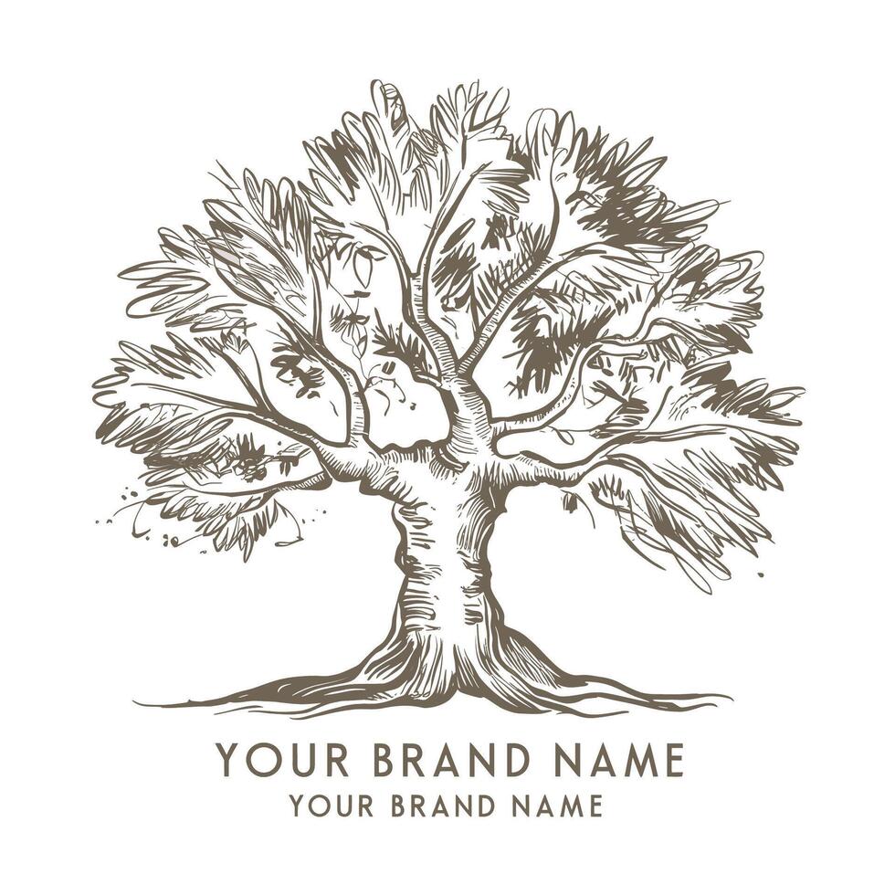An olive tree logo with a name and a name vector