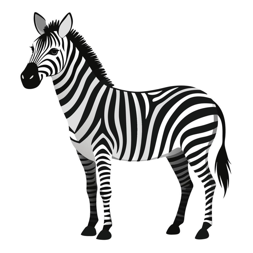 Stylized Zebra Illustration on White Background vector