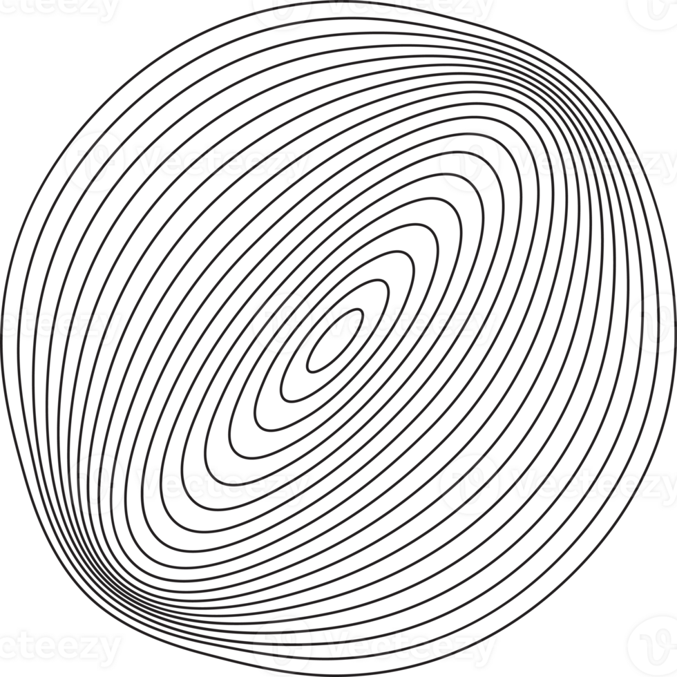 Topography line pattern circles. Circular organic rings. Wavy abstract shape with wooden texture. Concentric ripple contour graphic element. png