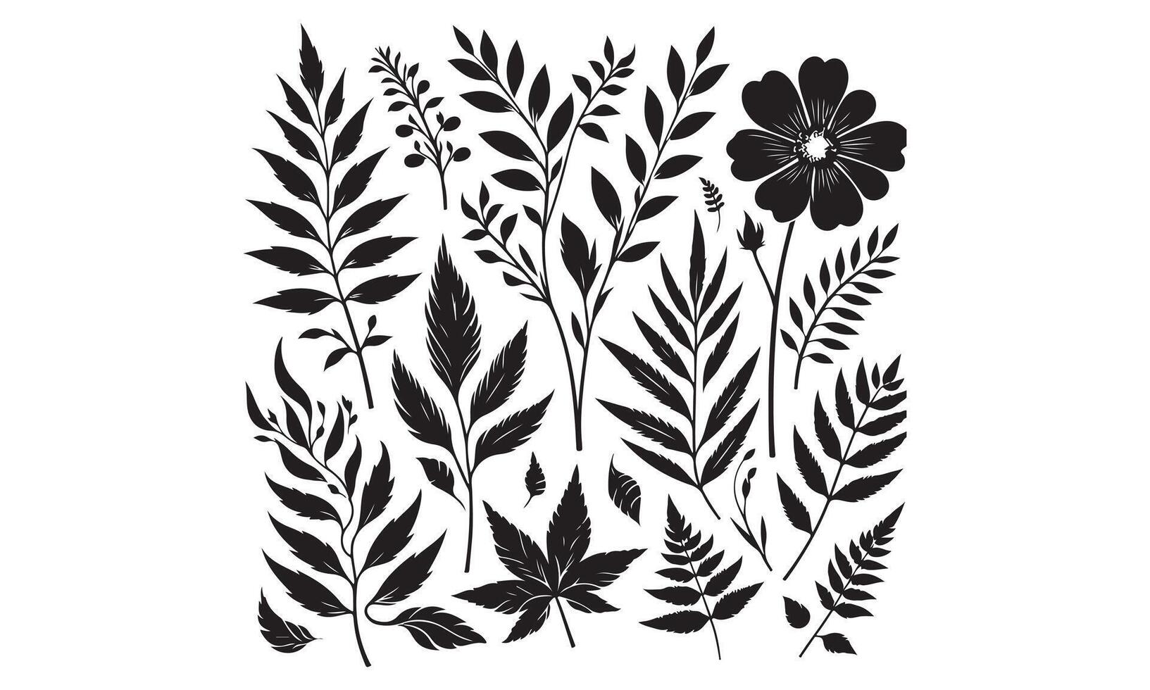illustration of black and white leaves vector
