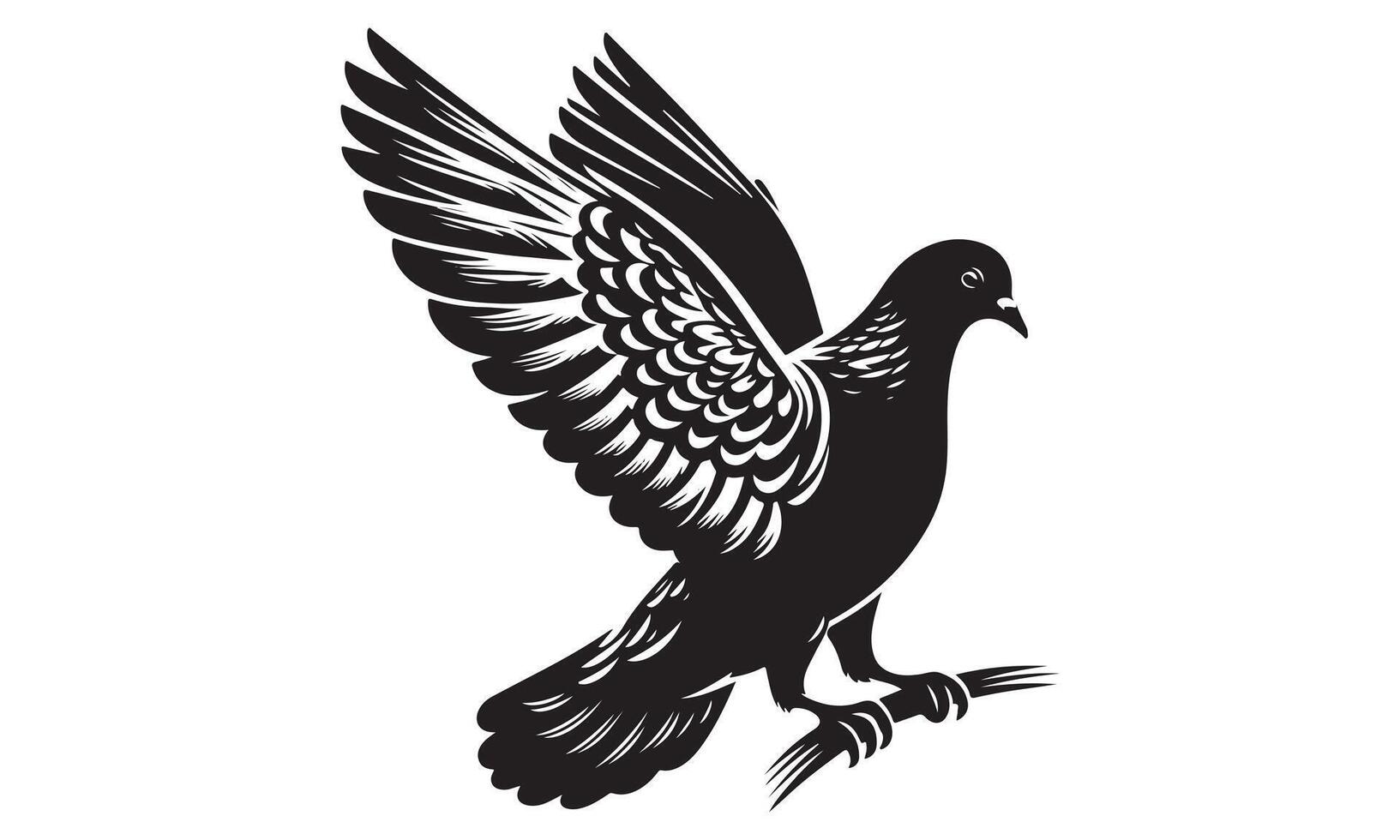 A black and white illustration of a pigeon vector