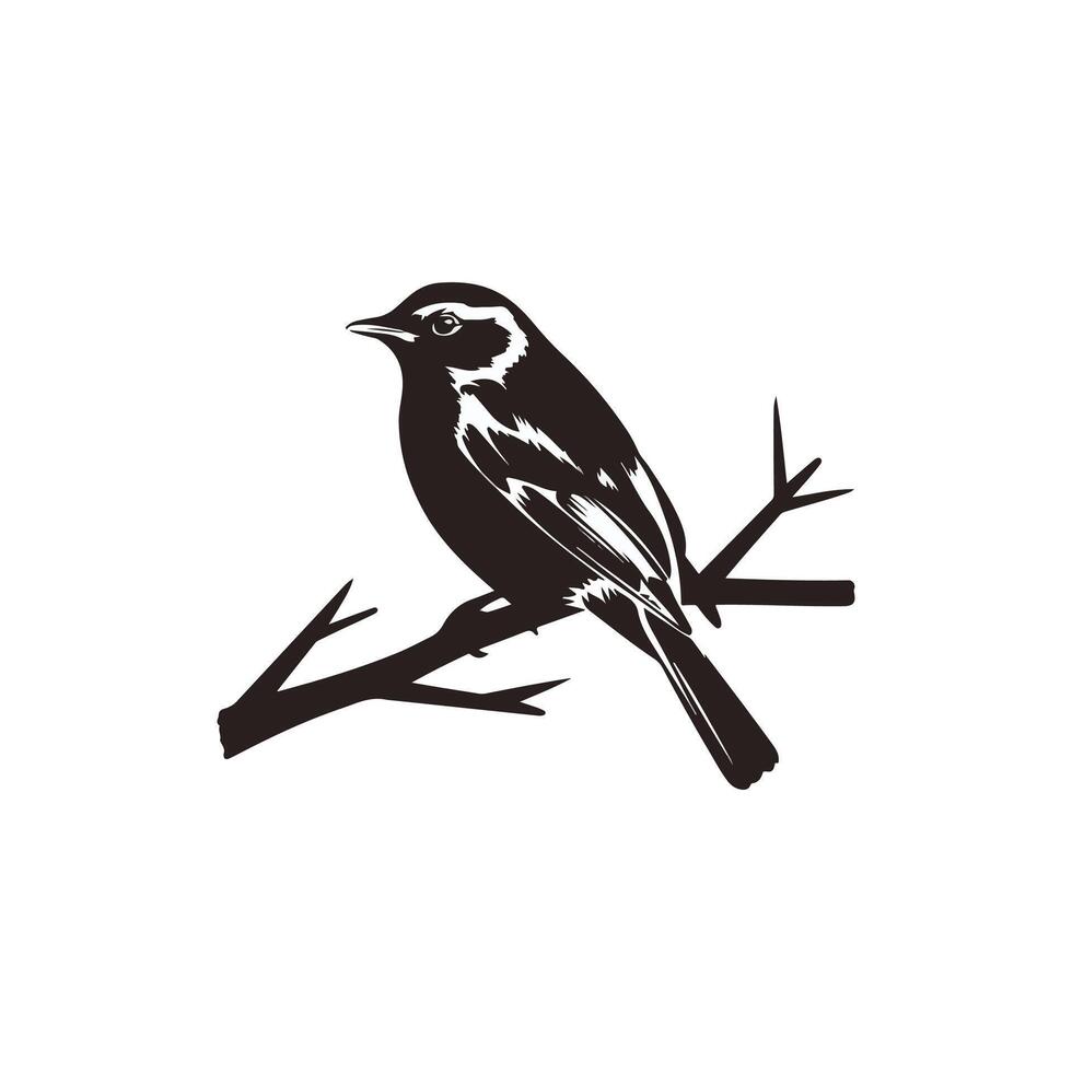 Bird on branch silhouette illustration vector