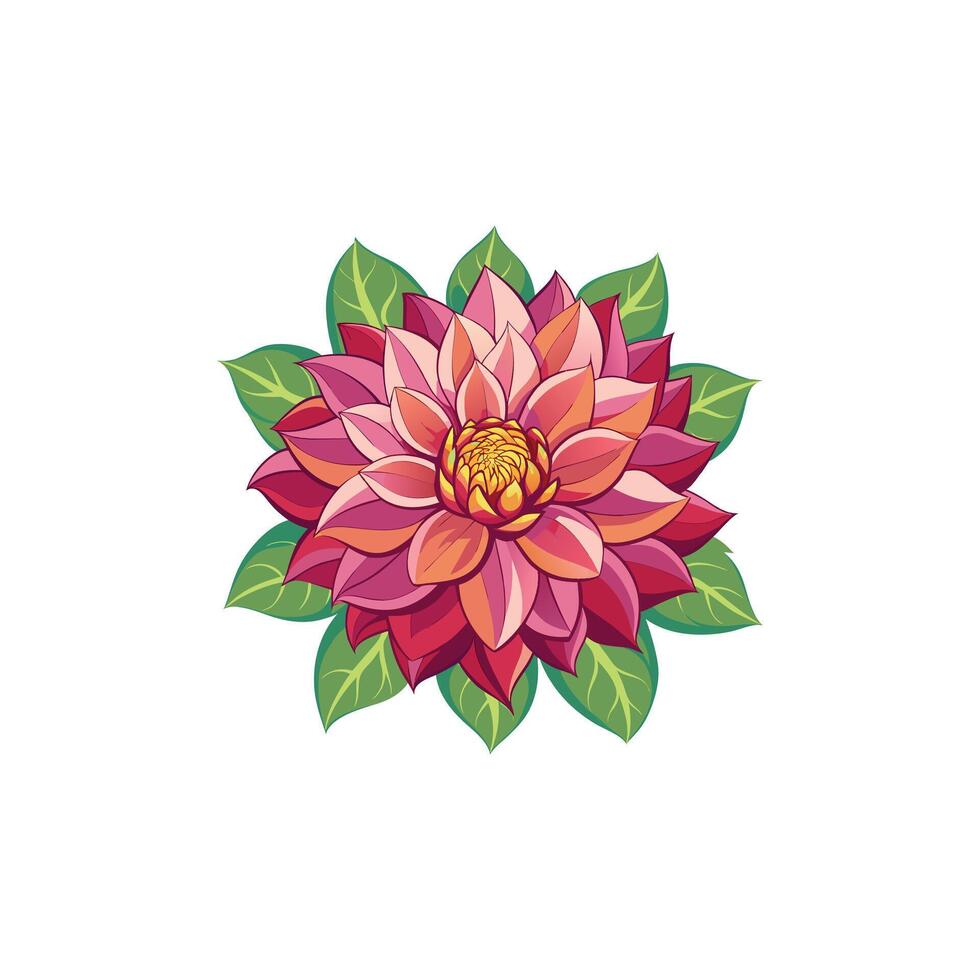 A flower with red and pink petals on a white background vector