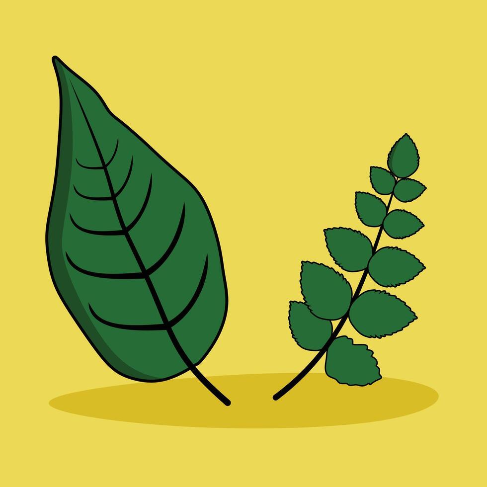 leaf banner design or Hand drawn leaves illustration with green color and yellow background vector