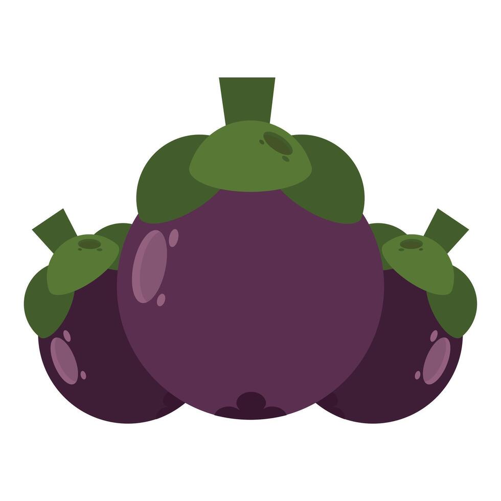 illustration of mangoesteen trpical fruit vector