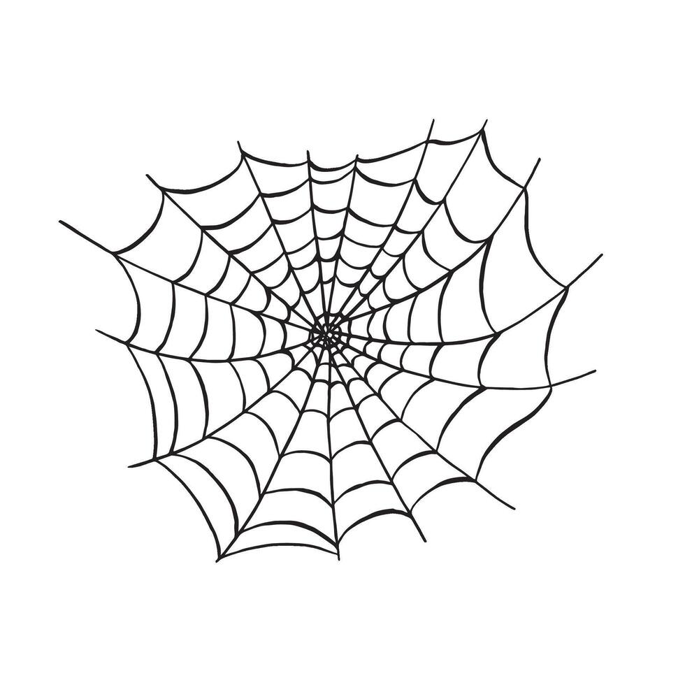 Spider web sketch. graphic line illustration, hand drawn isolated. Black and white doodle. Outline cobweb. Spooky trap of insect thread. Clipart for print, Halloween card, sticker, wrapping. vector