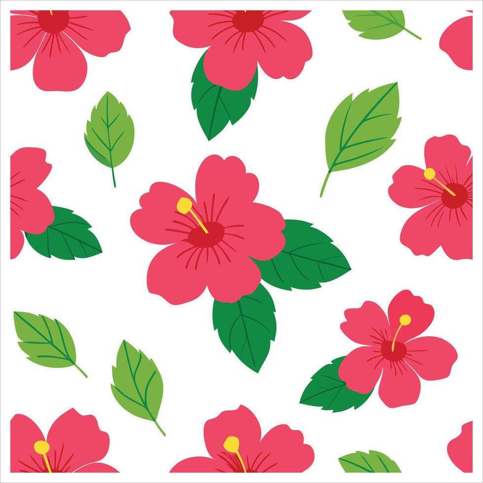 Pink hibiscus flowers and leaves on a white background vector