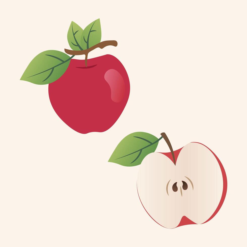 Fresh Apple Fruit Slice And Whole Of Apple illustration vector
