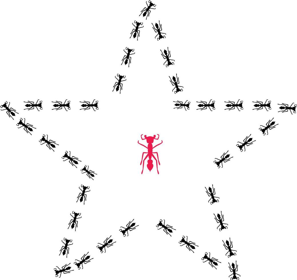 Star shape ant trail with one unique ant in the middle. Unique person concept Stock illustration isolated on white background in flat simple style. vector
