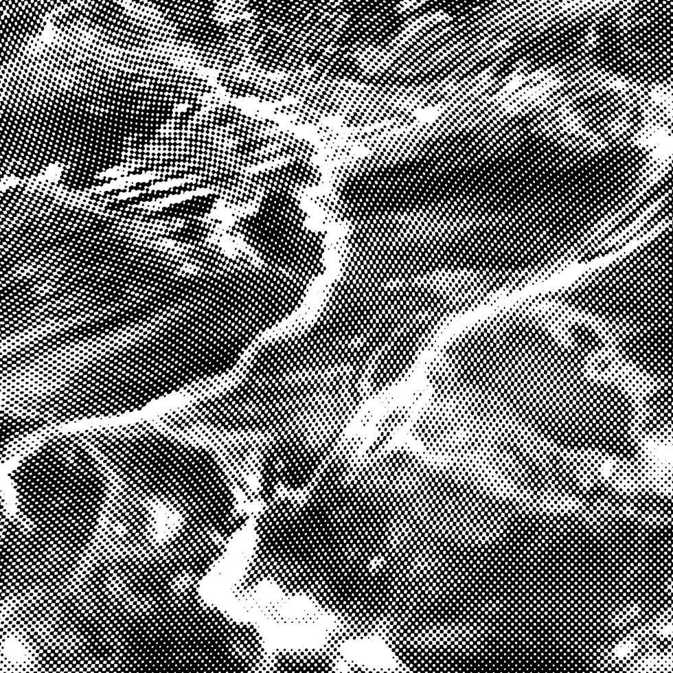 black and white water texture halftone grunge effect with a lot of dots, a black and white halftone dot pattern, halftone dot set pattern background illustration, photo