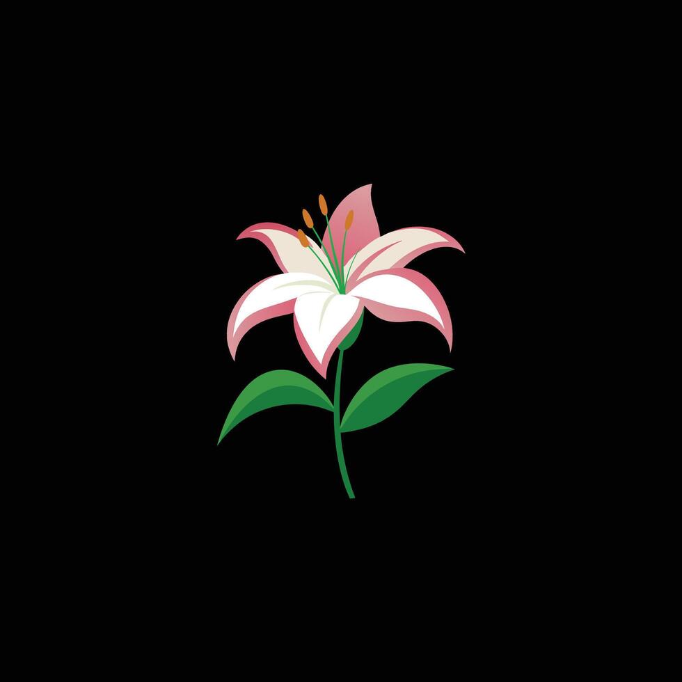 lily flower on a white background vector
