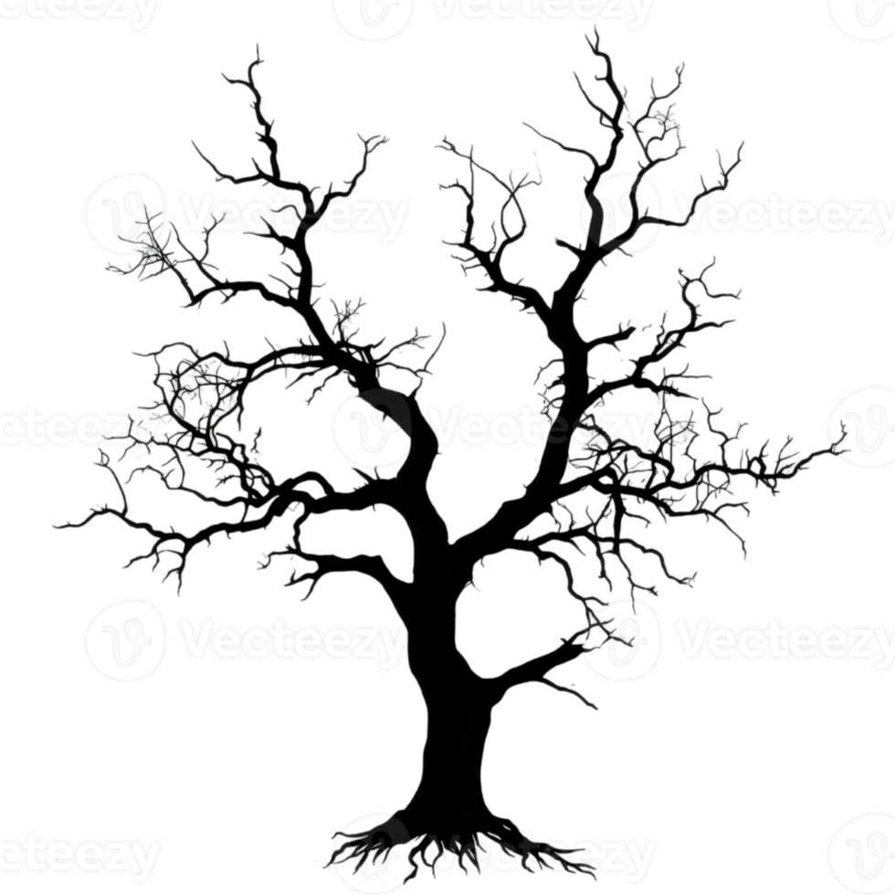 Shadow of tree with bare branches, Halloween, AI-Generateds png
