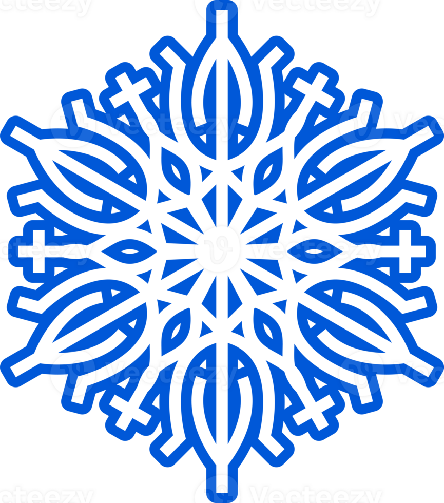 Snowflake symmetric decorative design element. png