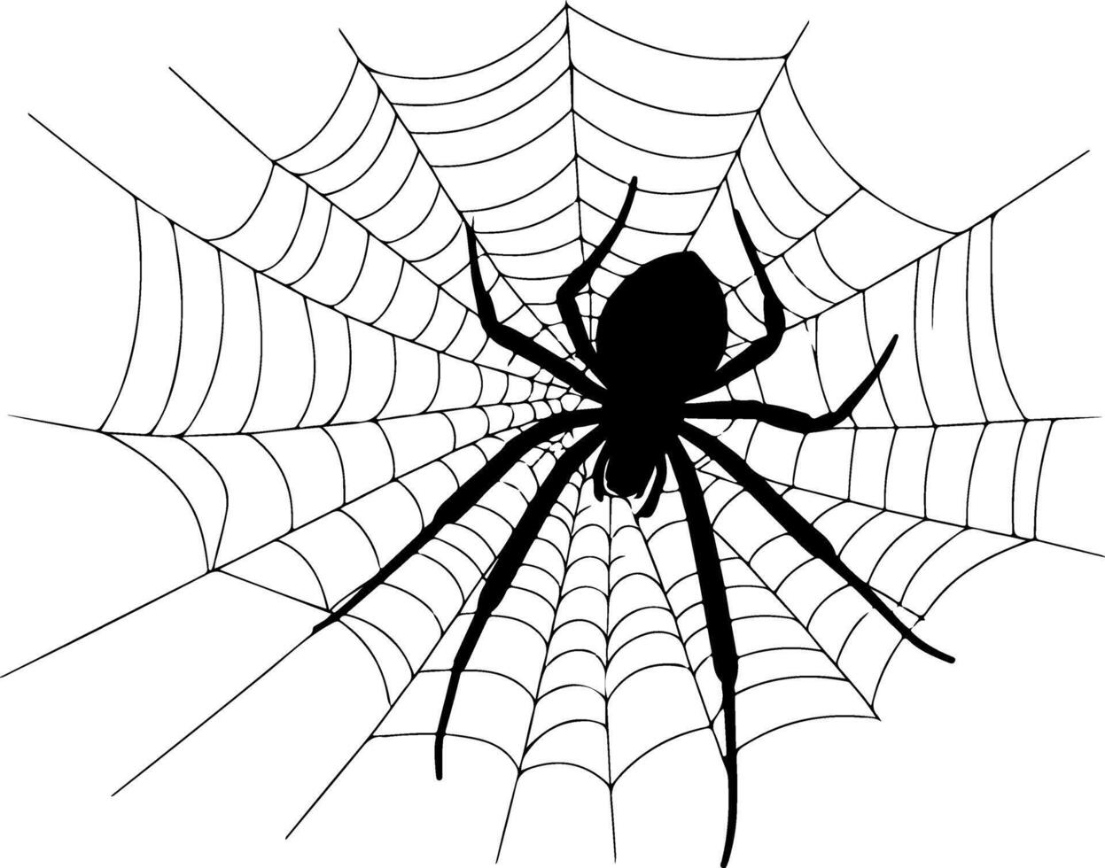 a black and white spider on a web vector