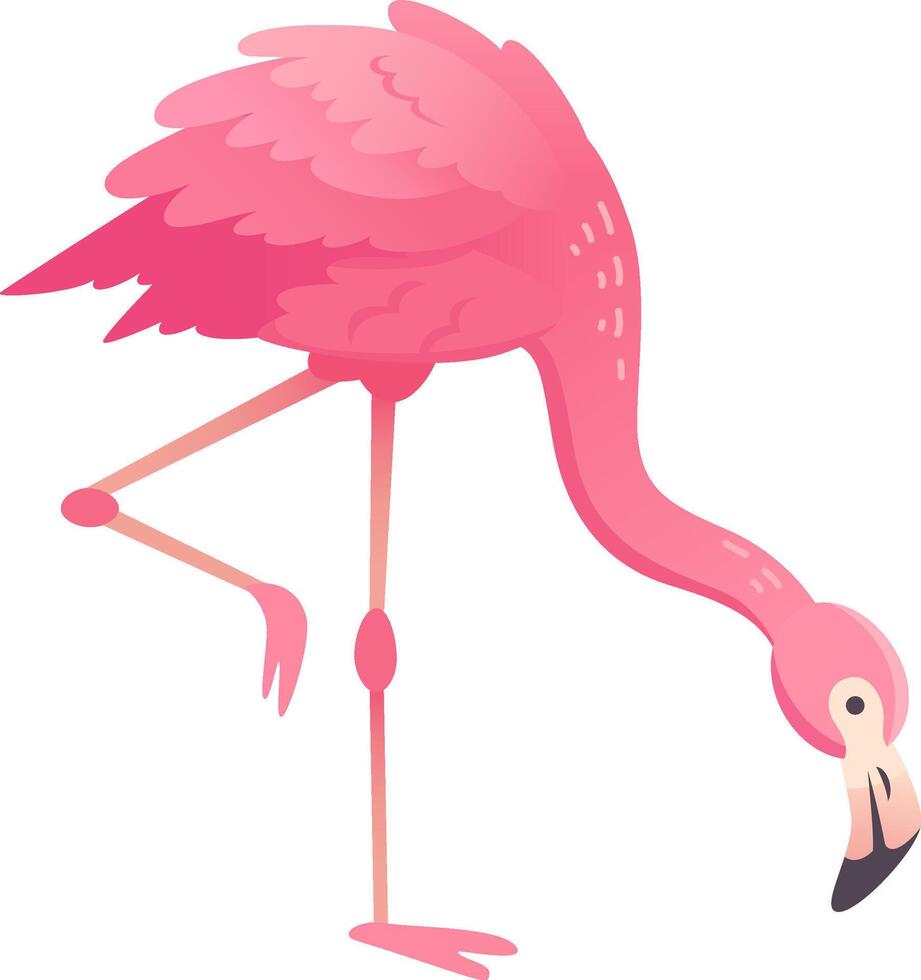 Cartoon flamingo standing on one leg bending over, isolated on white background vector