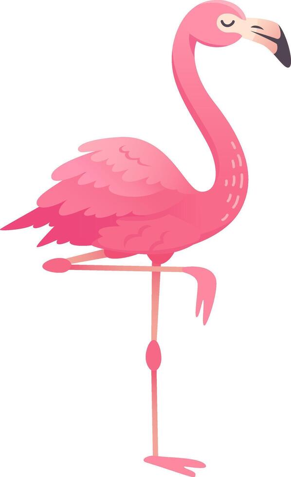 Cartoon flamingo with pink feathers standing on one leg, isolated on white background vector