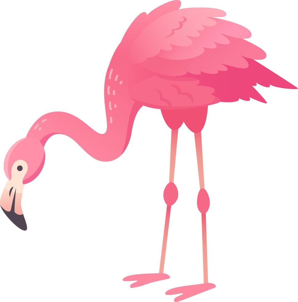 Cartoon flamingo bending its long neck looking for food, isolated on white background vector