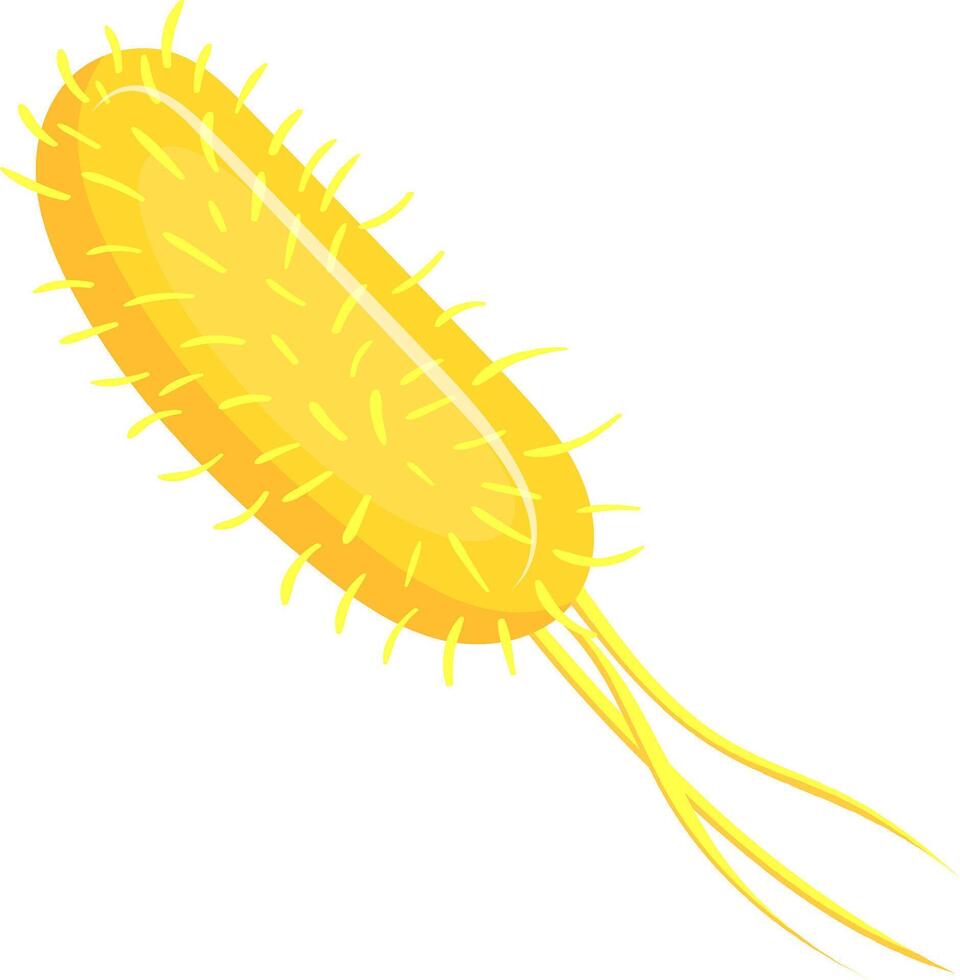 Salmonella bacteria with flagella and pili cause food poisoning symptoms like gastroenteritis, diarrhea, vomiting, and fever. Learn about microbiology and stay safe from these harmful germs vector