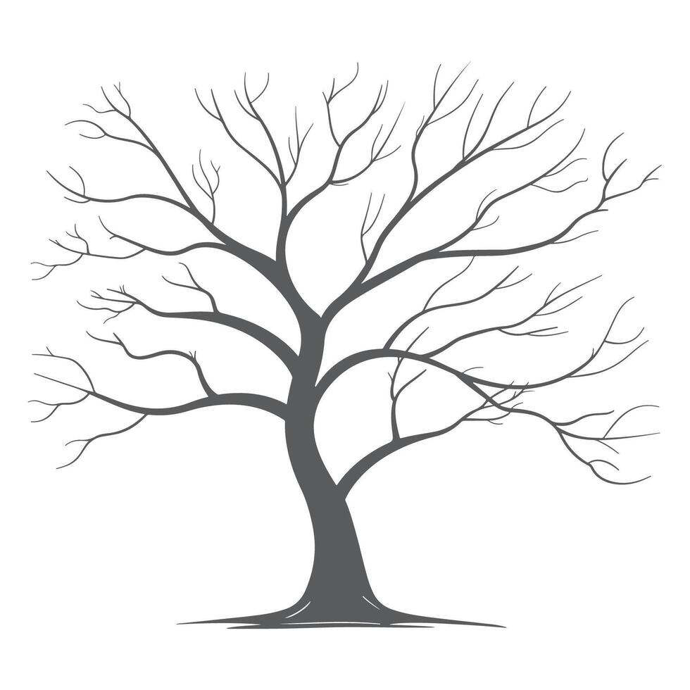 A tree with no leaves on a white background vector