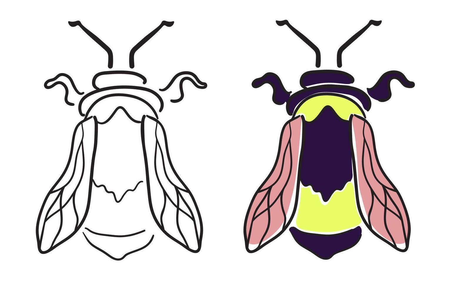 bumblebee in linear and color version vector