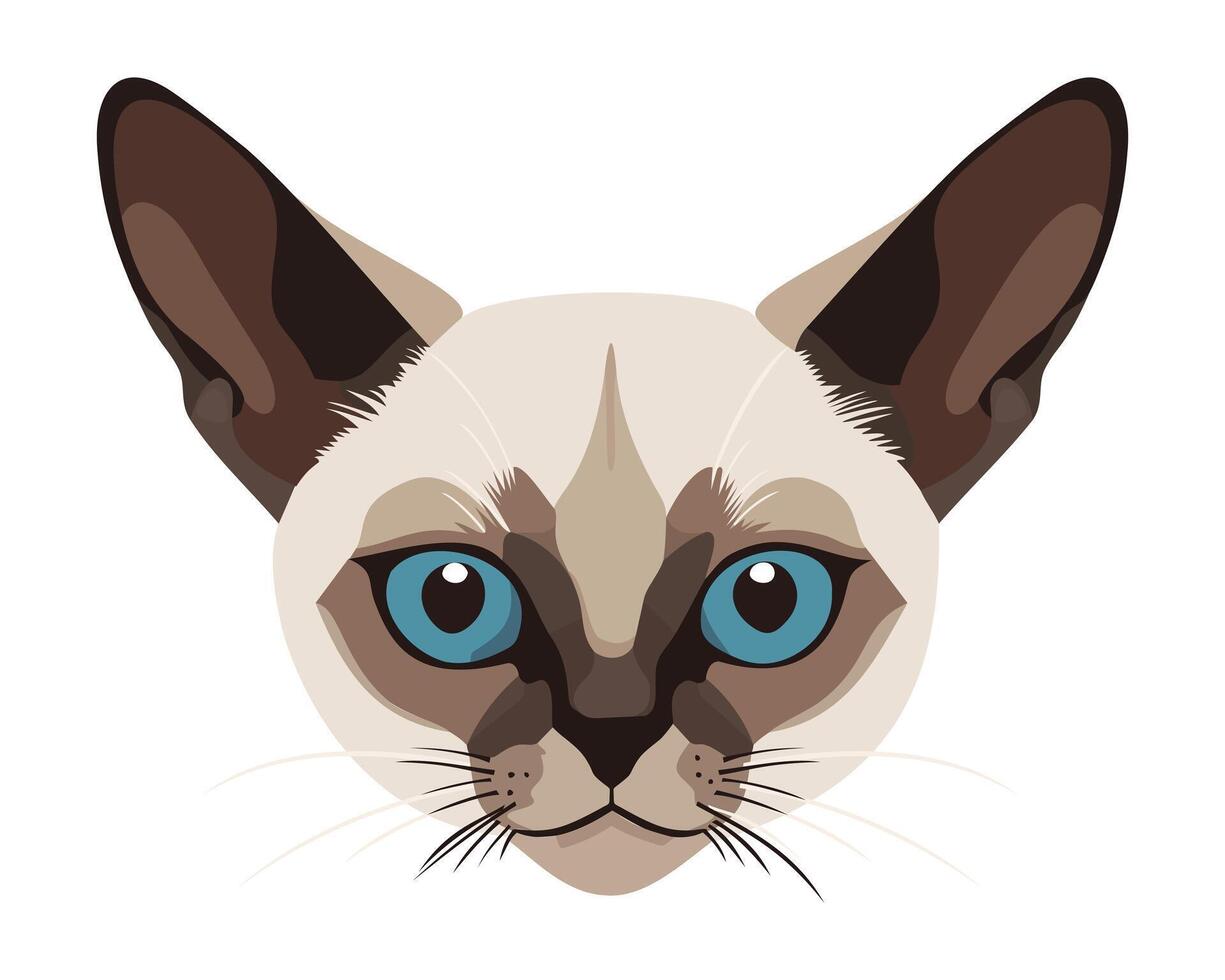 Siamese cat head. isolated illustration vector