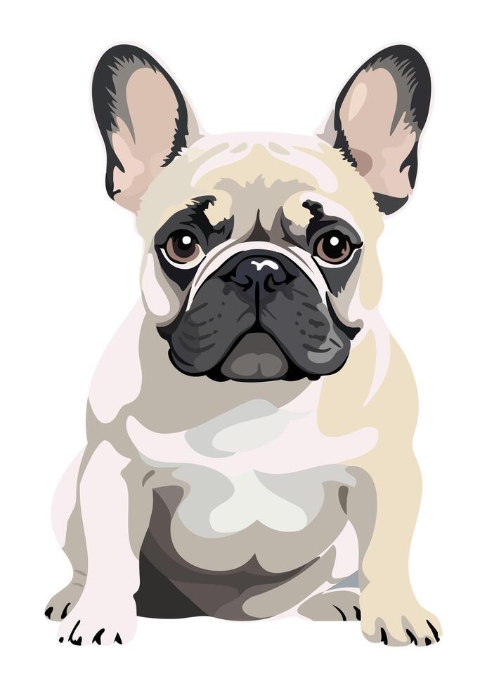 French bulldog. Cute pet. isolated illustration vector