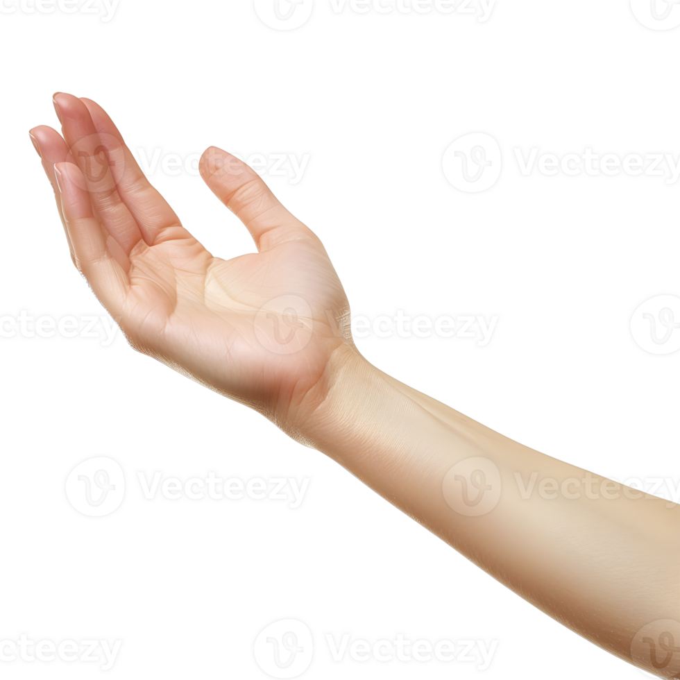 A hand reaching out to the sky png