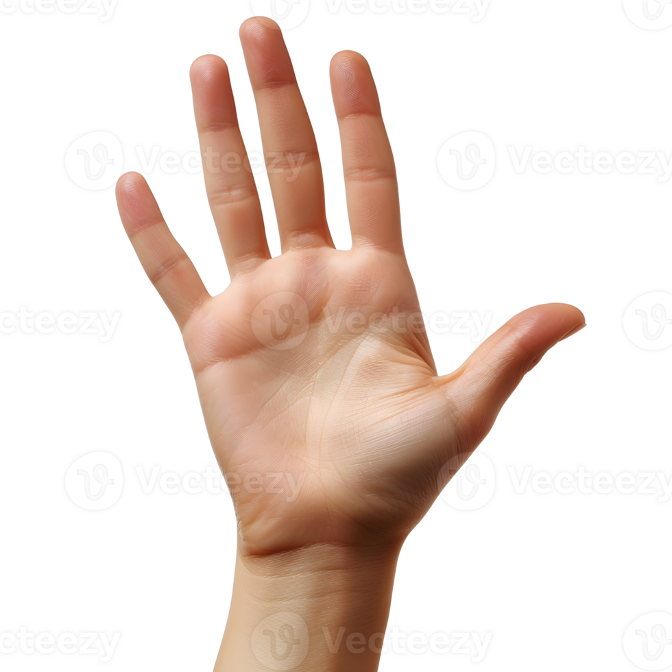 A hand is reaching out to the side png