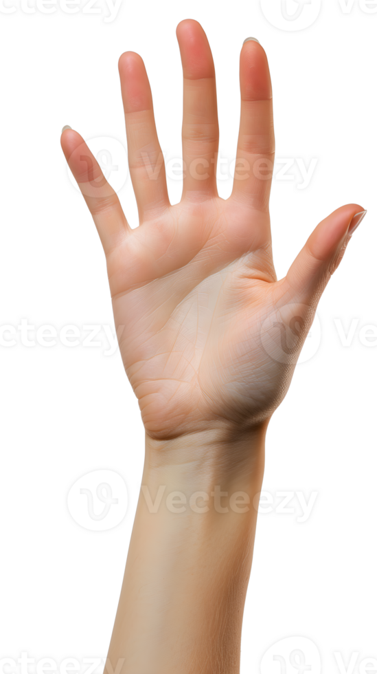 A hand reaching out to the sky png
