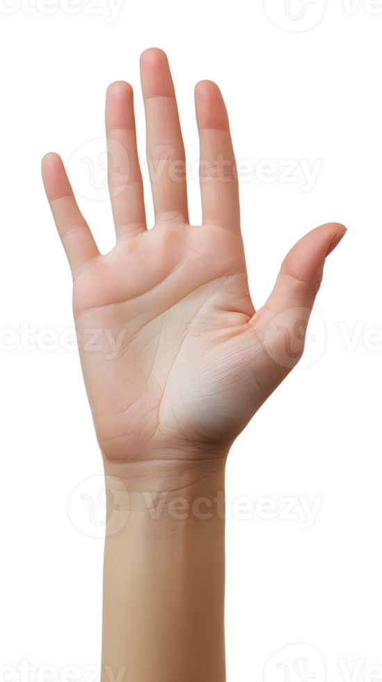 A hand is shown with a palm open png