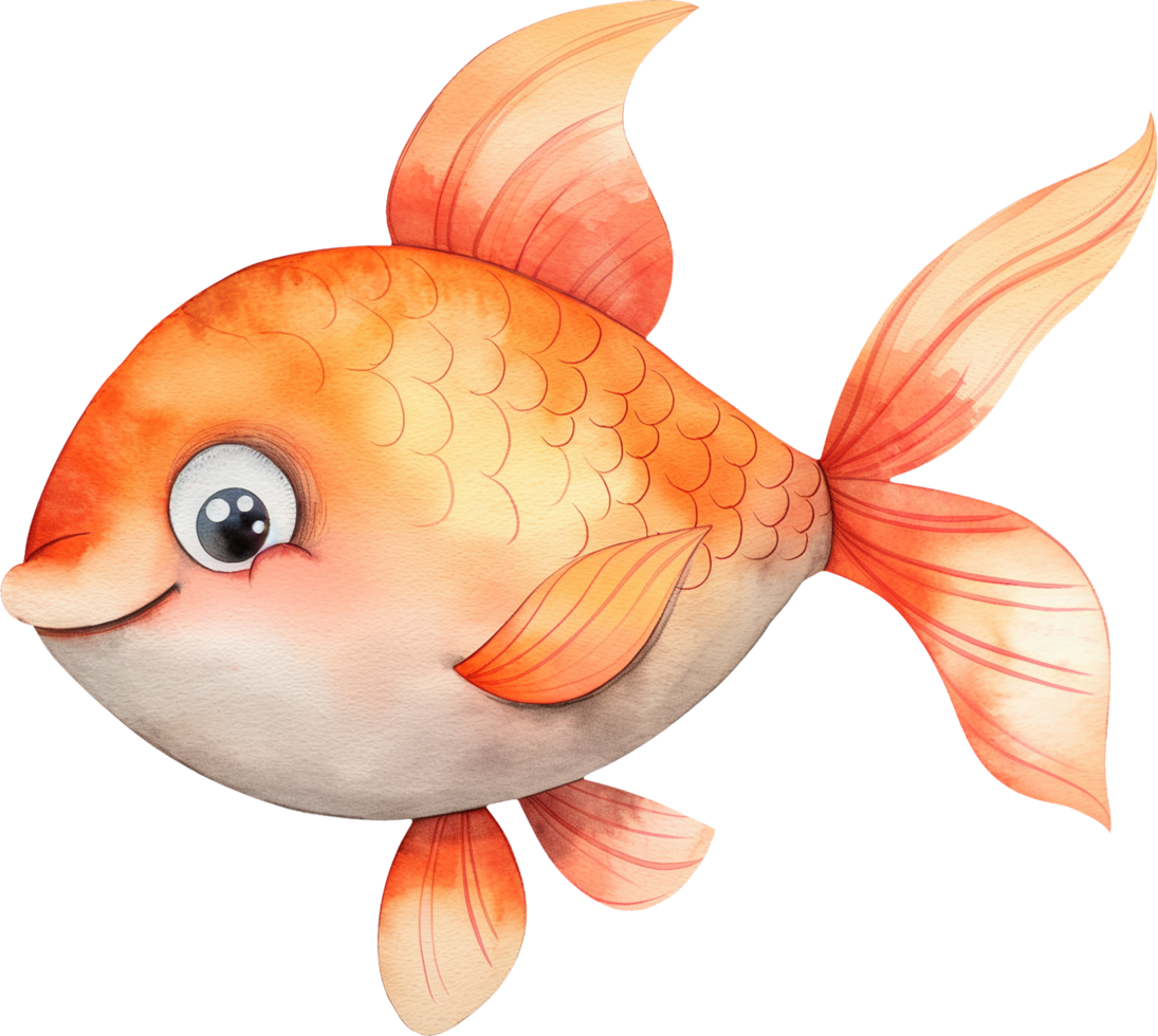 Goldfish clipart watercolor png