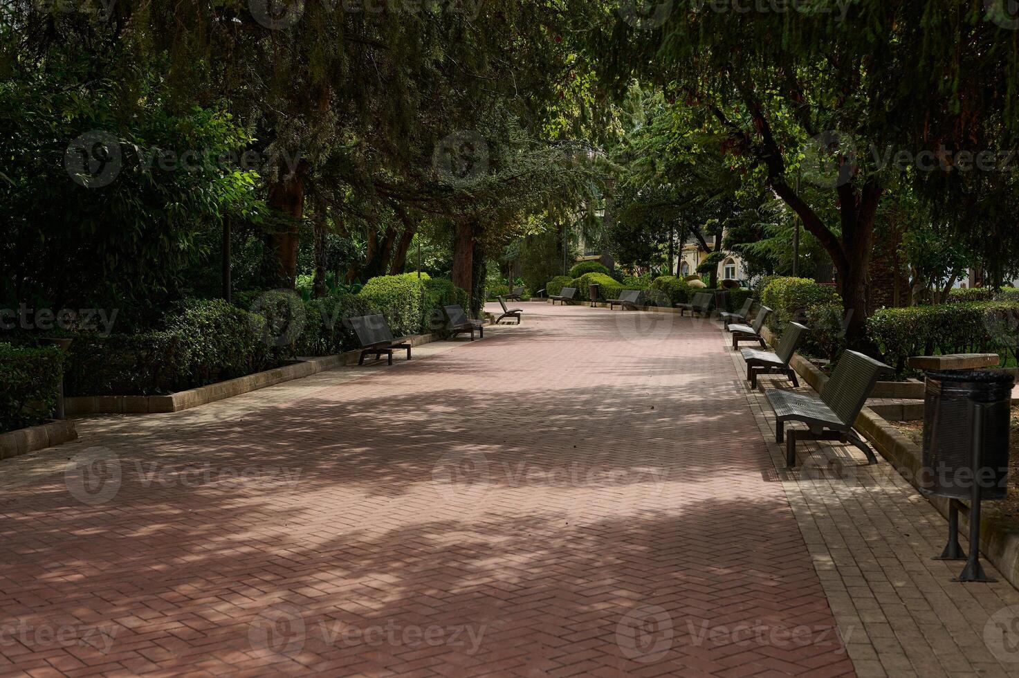 Tranquil park pathway surrounded by lush greenery and benches photo