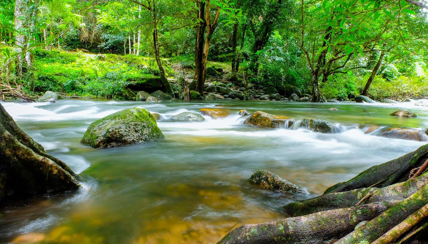 Small streams flow through rocks,waterfall of Refreshing green trees sunny day on nature background photo