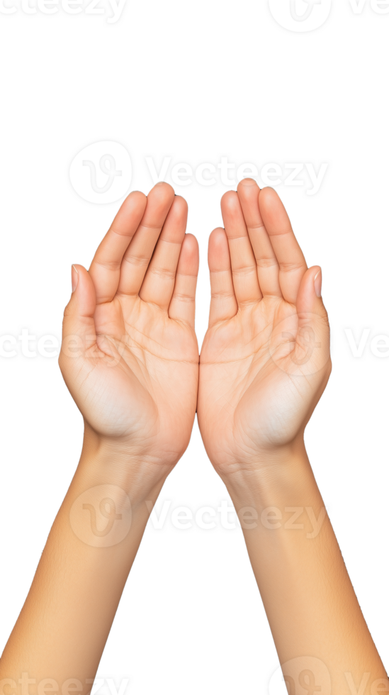 Two cupped hands raised up in offering gesture on transparent background png