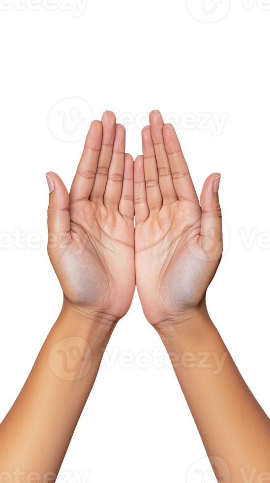 Pair of cupped hands raised together on transparent background png