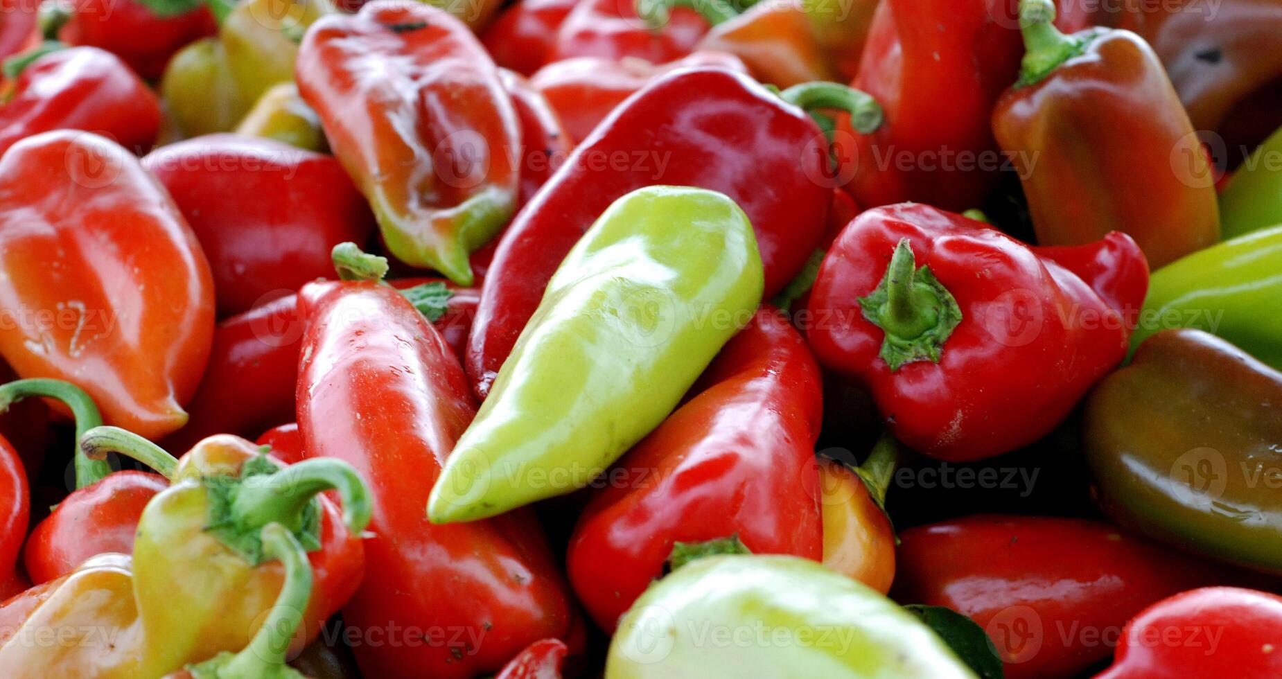 paprika for sale in a farmers market photo