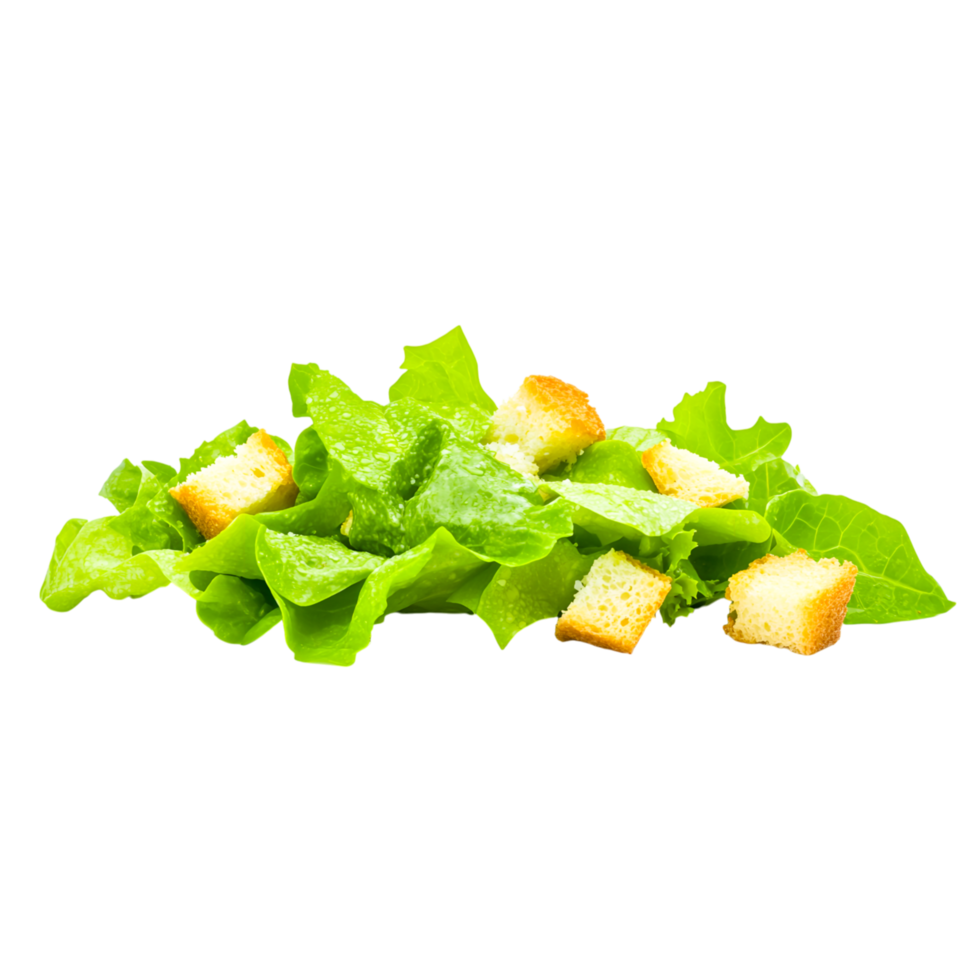frisch Grün Salat mit knackig Croutons png