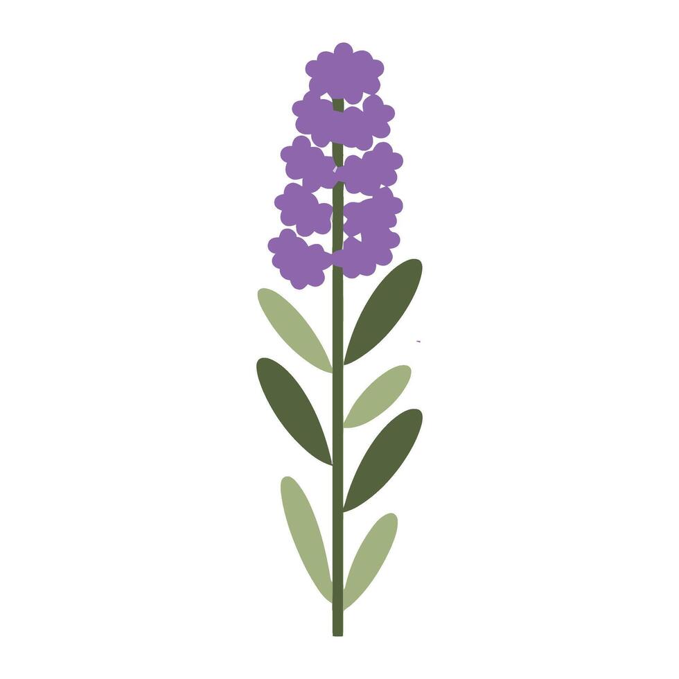 Lavender flower icon illustration vector