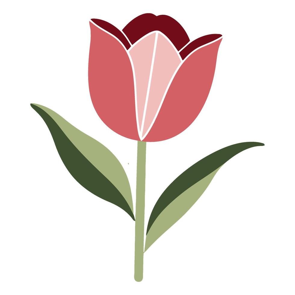 A pink tulip with green leaves on a white background vector
