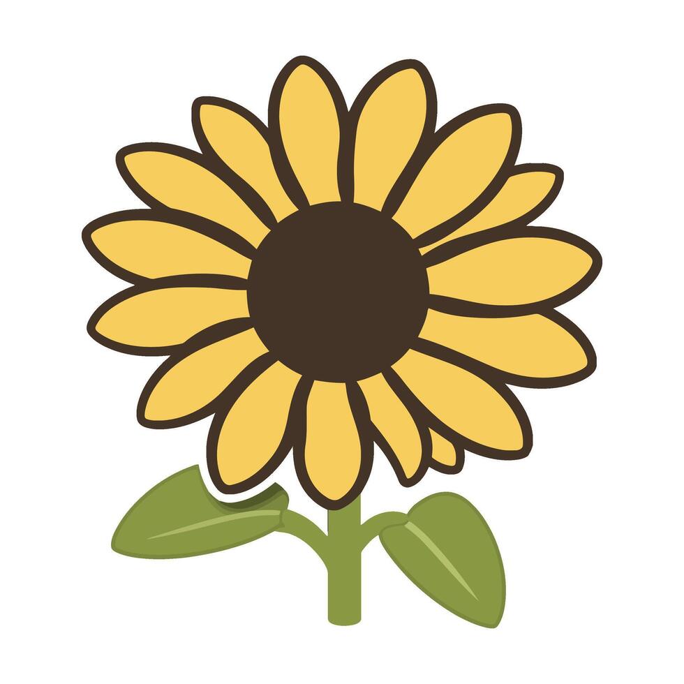 A sunflower with leaves on a white background vector